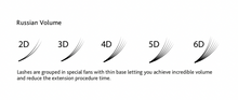 Extensiones de Volumen (abanicos prefabricados)